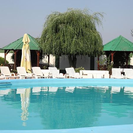 Hotel Rodiv Găeşti Eksteriør billede